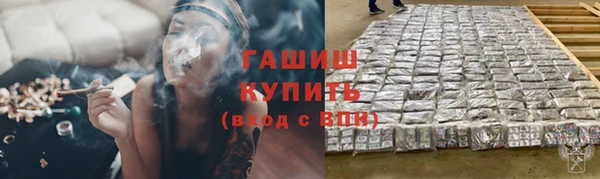 спиды Бородино