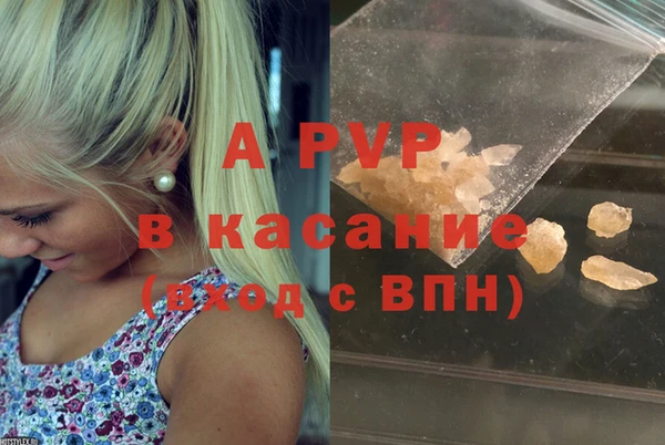 спиды Бородино