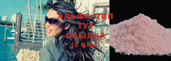 спиды Бородино