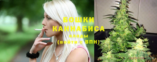 спиды Бородино